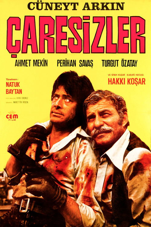 Çaresizler (1973) poster