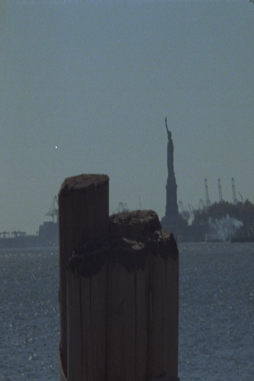 Joy And Love For All Things in the Garden (2022) poster