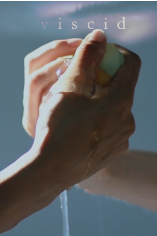 Viscid (2014) poster