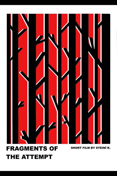 Fragments of the Attempt (2024) poster
