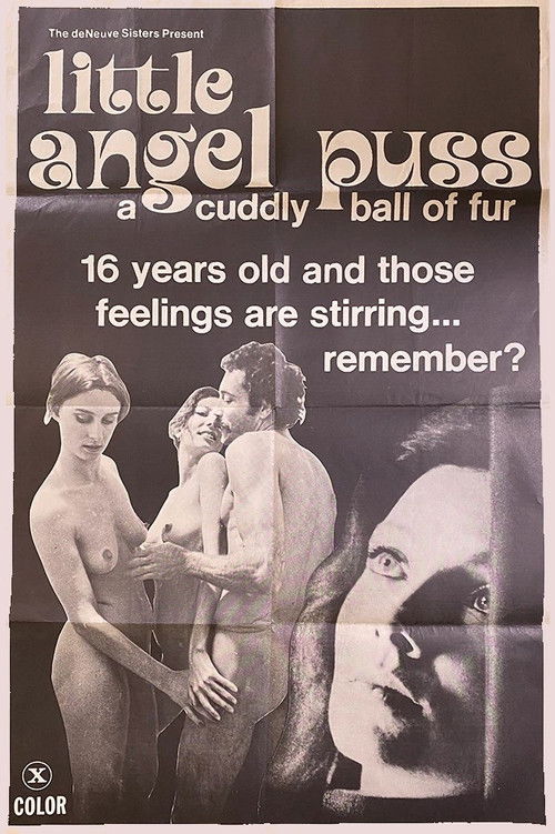 Little Angel Puss (1975) poster