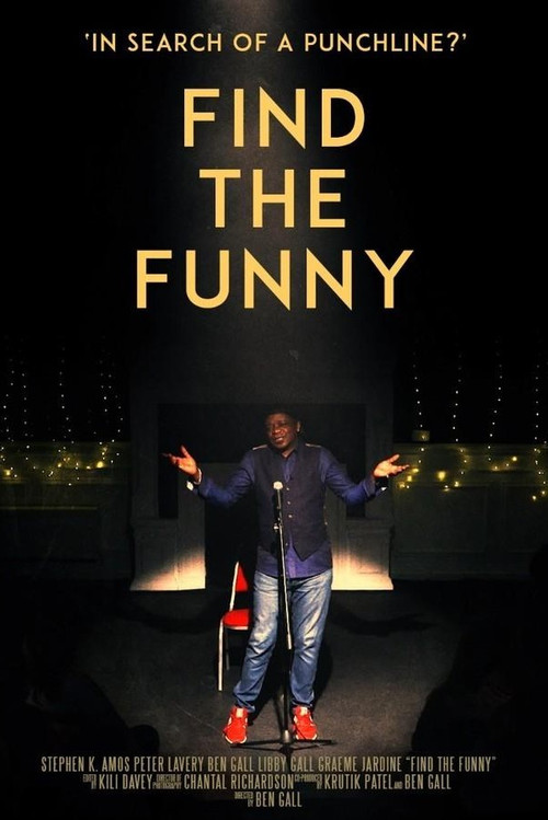 Find the Funny (2025) poster