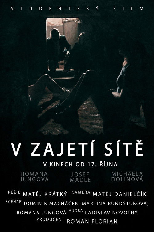 V zajetí sítě (2019) poster
