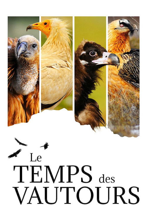 Le Temps des vautours (2022) poster