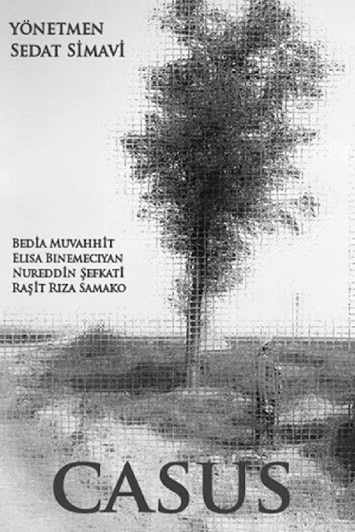 Casus (1917) poster