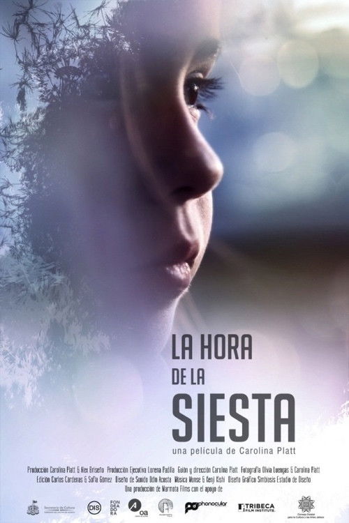 La Hora de la Siesta (2014) poster