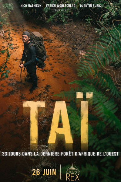 TAÏ: 33 days in the last primary West African forest (2024) poster