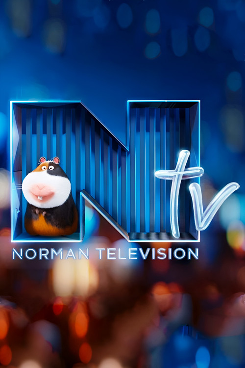 Norman Television (2016) poster