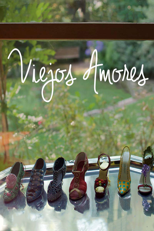 Viejos amores (2016) poster