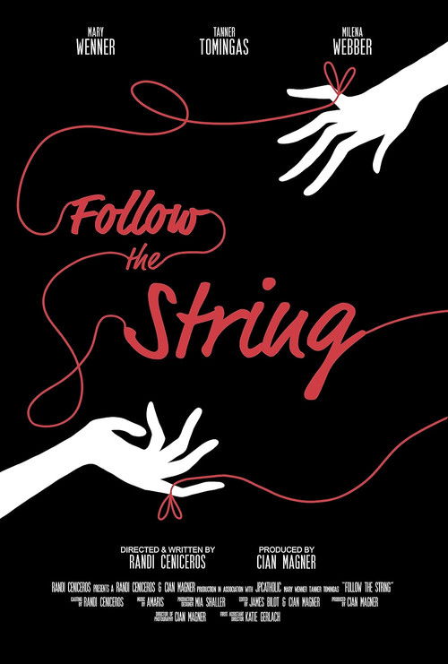 Follow the String (2021) poster