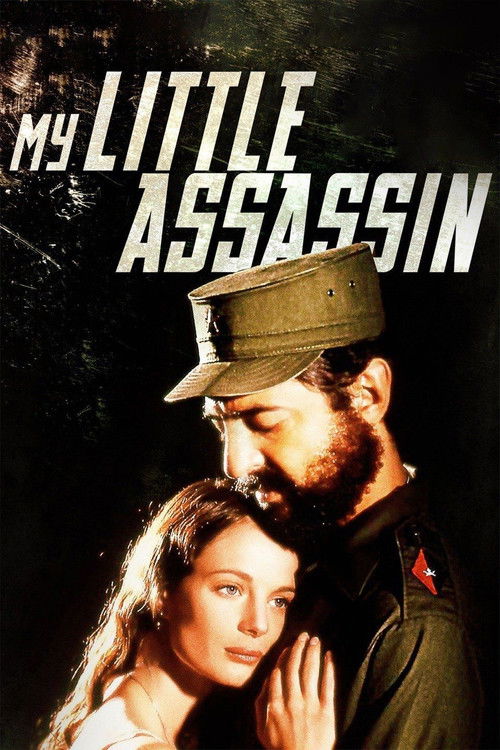 My Little Assassin (1999) poster
