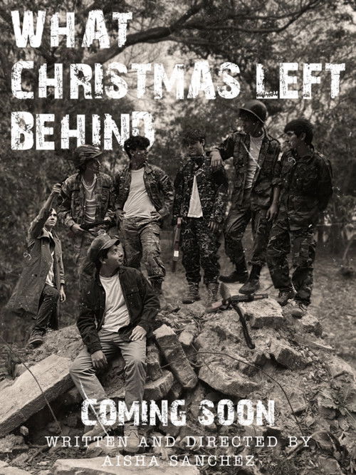 What Christmas Left Behind (2024) poster