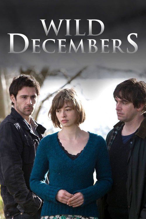 Wild Decembers (2009) poster