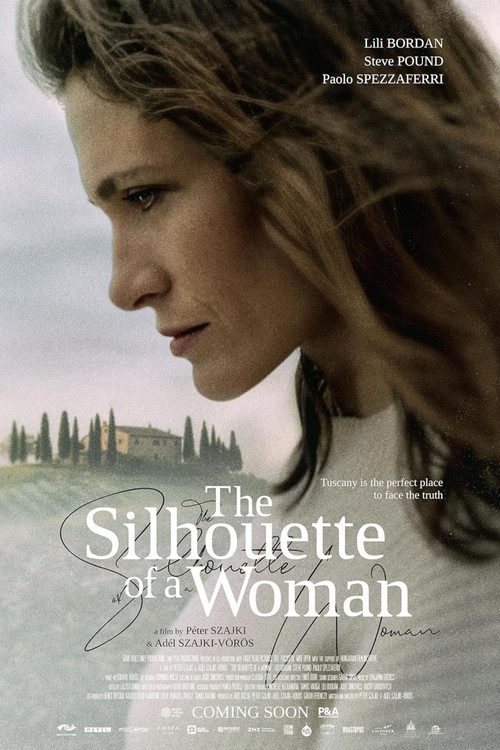 The Silhouette of a Woman poster