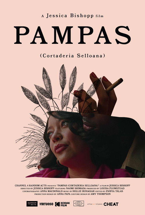 Pampas (2020) poster