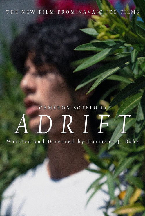 ADRIFT (2022) poster