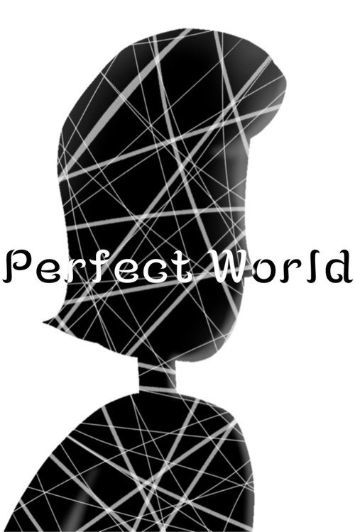 Perfect World poster