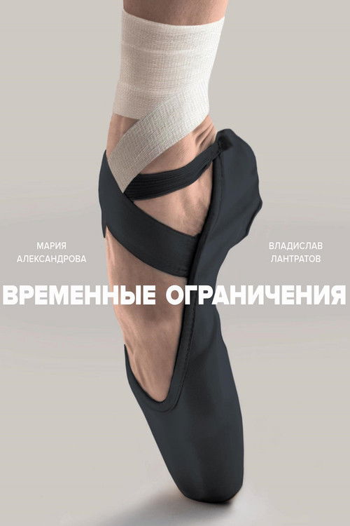 Temporary Limitation (2022) poster