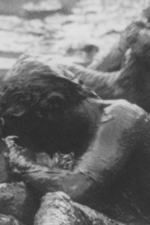 Meta Ekologi (1979) poster