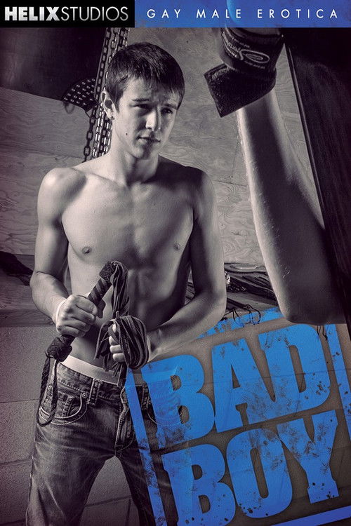 Bad Boy (2014) poster