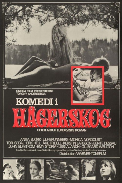 Komedi i Hägerskog (1968) poster