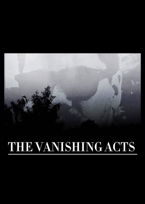 THE VANISHING ACTS (2024) poster