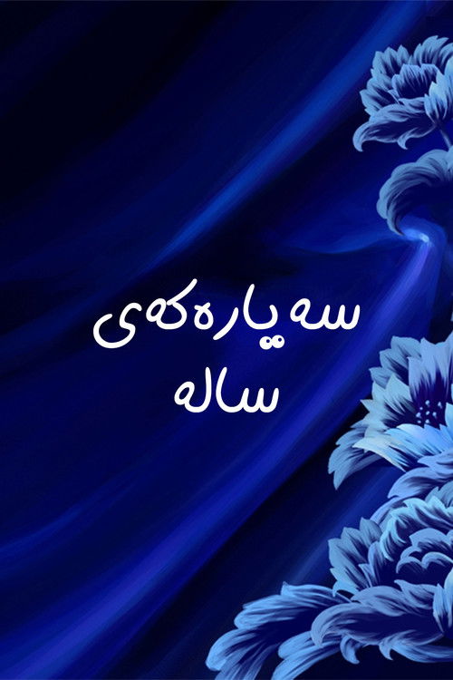 Sala's Car (2011) poster