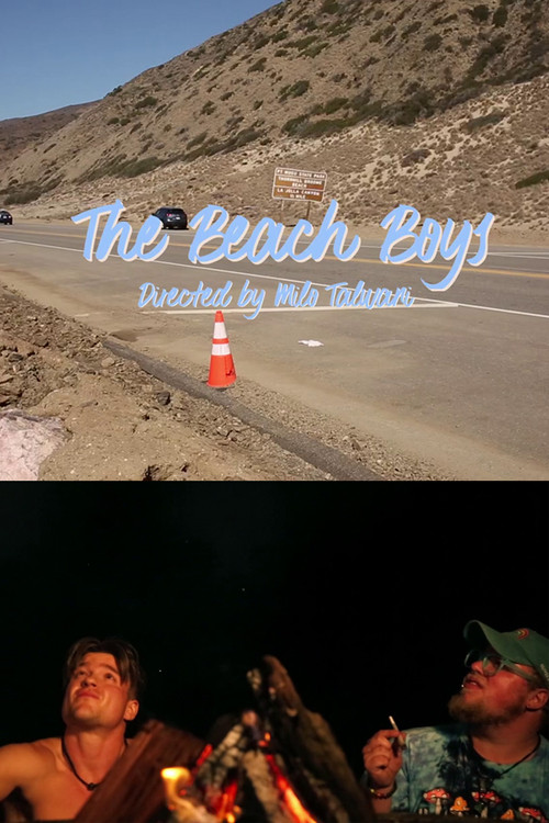 The Beach Boys (2024) poster