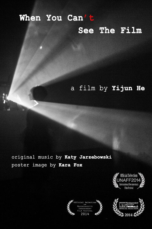 When You Can't See the Film (2014) poster