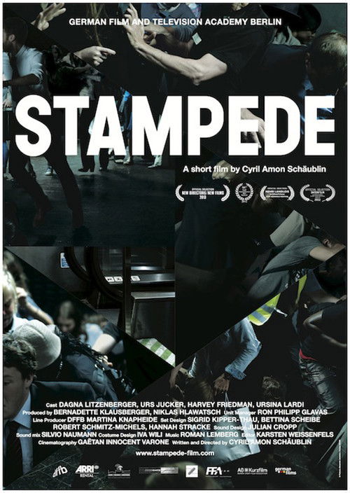 Stampede (2012) poster
