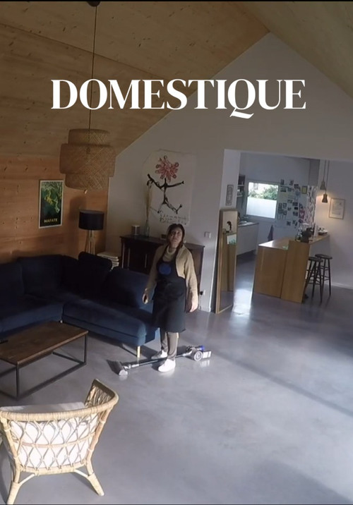 Domestique (2025) poster