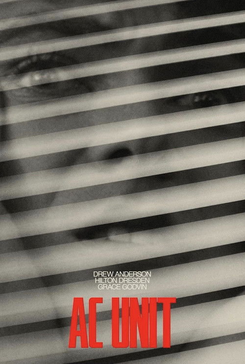 AC Unit (2023) poster