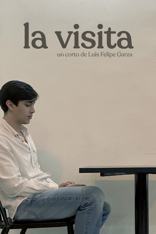 La Visita (2026) poster