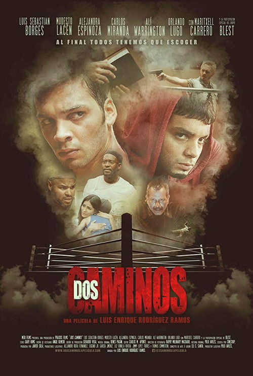 Dos caminos (2017) poster