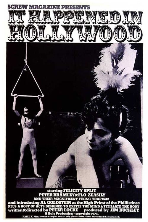 It Happened in Hollywood (1973) poster