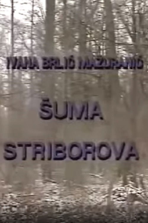 Stribor's Forest (1991) poster