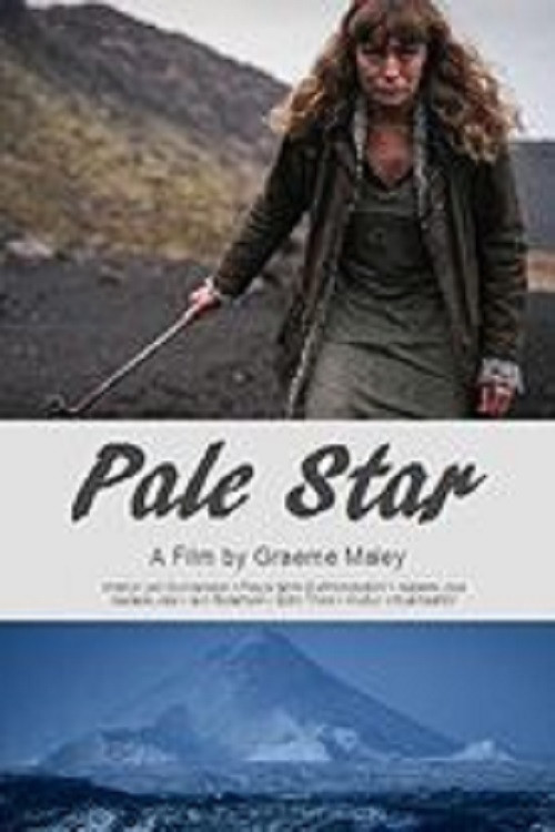 Pale Star (2016) poster