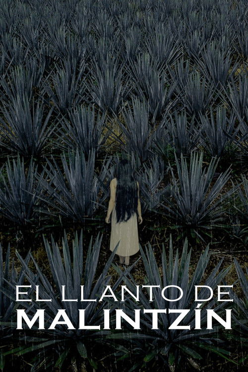 The Crying of Malintzin (2022) poster