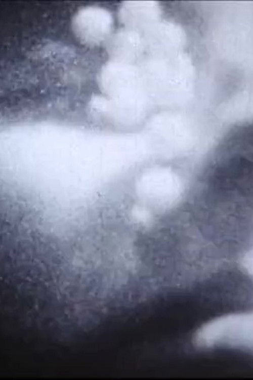 The Flamethrowers (1989) poster