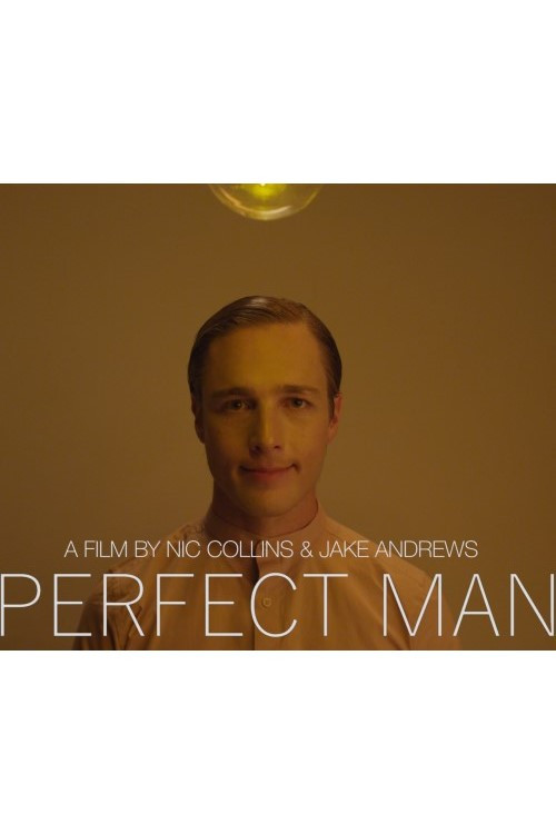 Perfect Man (2018) poster