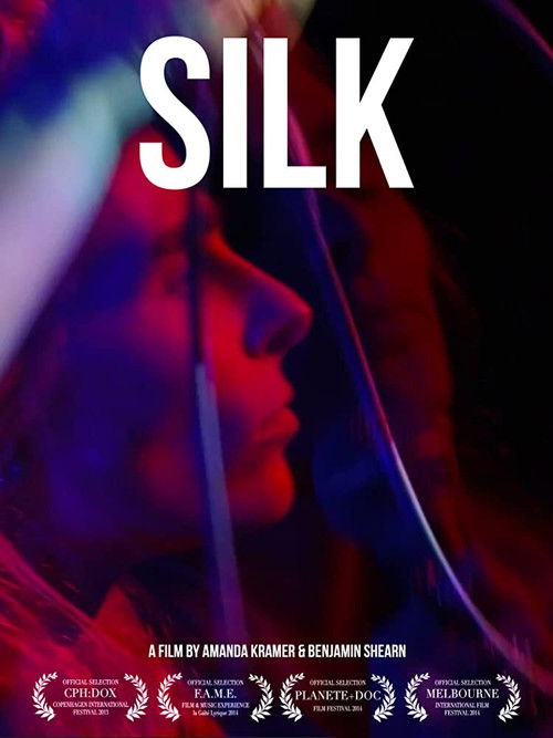 Silk (2013) poster