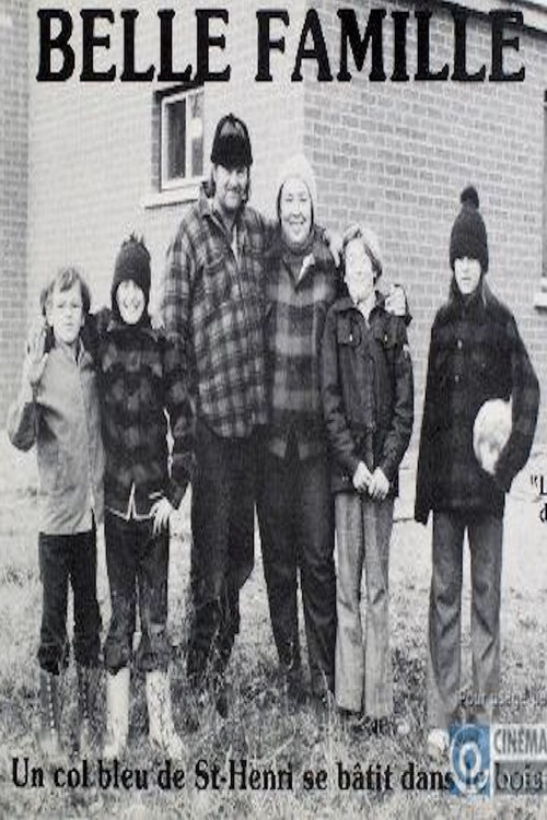 Belle famille (1978) poster