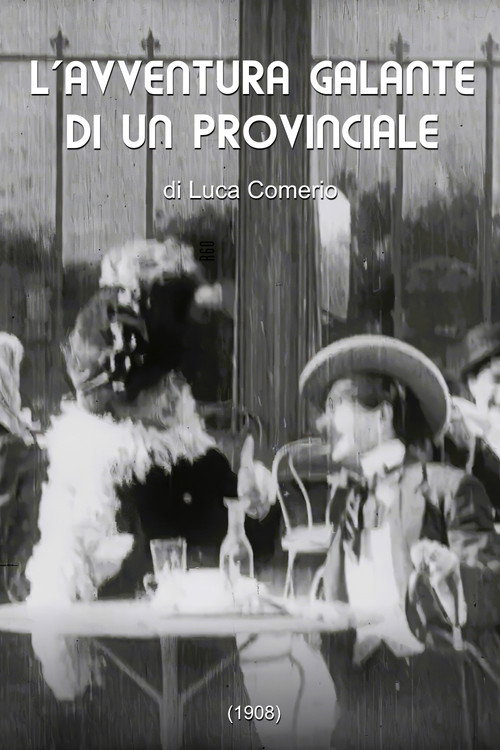 The Gallant Adventure of a Provincial (1908) poster