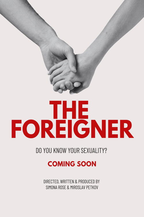 The Foreigner (2024) poster