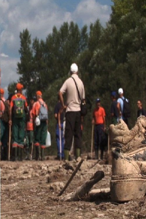 A Day on the Drina (2010) poster