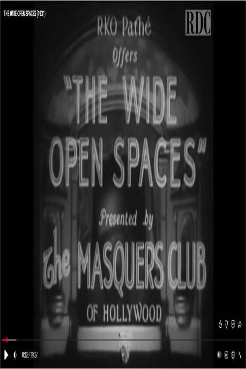 The Wide Open Spaces (1931) poster