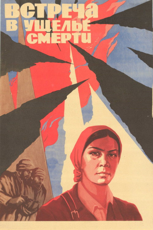 Встреча в ущелье смерти (1980) poster