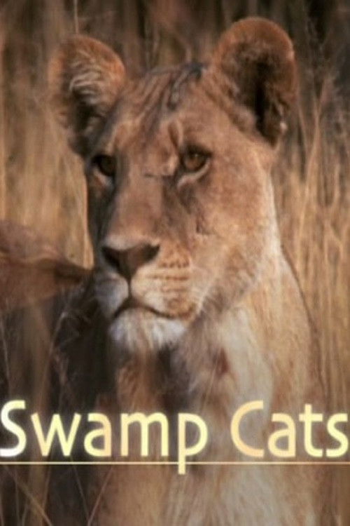 Swamp Cats (2004) poster