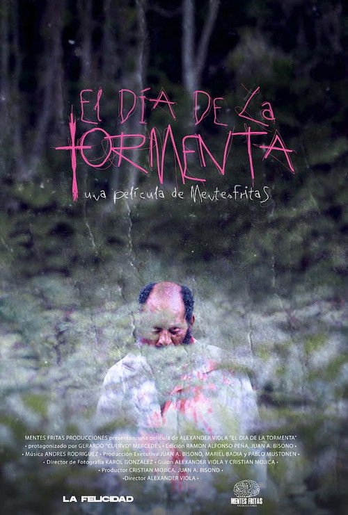 El dia de la tormenta (2024) poster