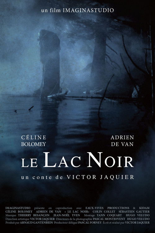 Le Lac Noir (2011) poster